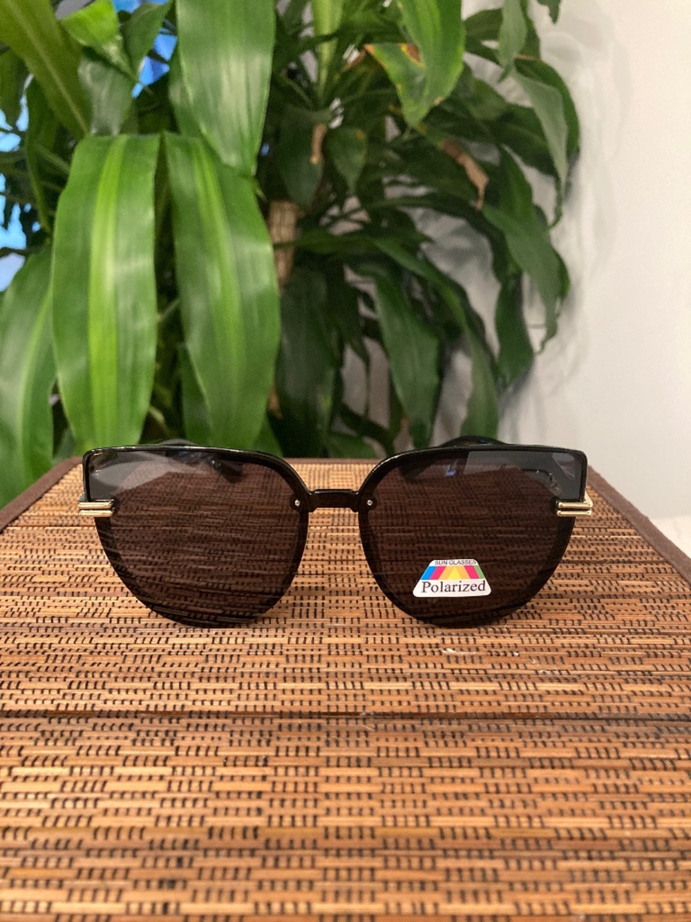 Polarized Cat Eye With Ornate Cutout Temple Sunglasses